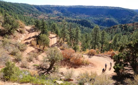 Roads through the area were built in the late 1800s to help cattlemen move the herds between summer and winter pasture.