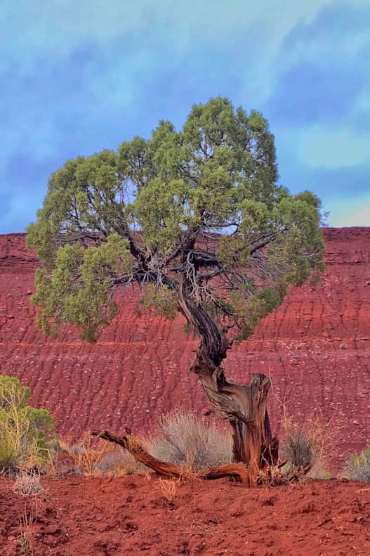 Topographers using aerial photographs will have a hard time capturing all the intrigue of the desert landscape.