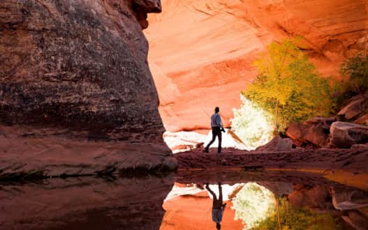 Many studies have shown that immersion in nature can support and catalyze our nervous system in balancing the rest of our body's automatic functions.