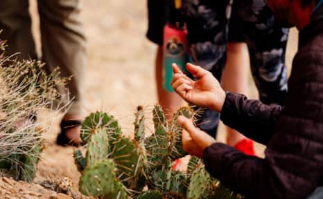Ranger-led programs at Utah’s state and national parks are also a great way for kids to learn about protecting and preserving our natural world.