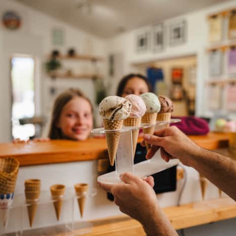 Don't miss Color Ridge Farm & Creamery, an ice cream shop with a wide variety of flavors as well as a regenerative farm.