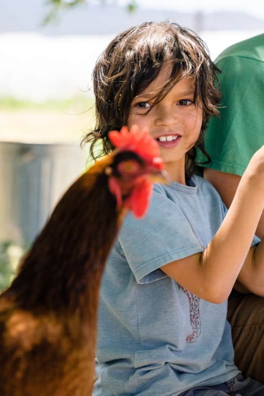 A small boy guards his tamale as an opportunistic chicken clucks underfoot.