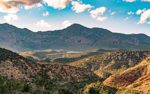 Dixie National Forest