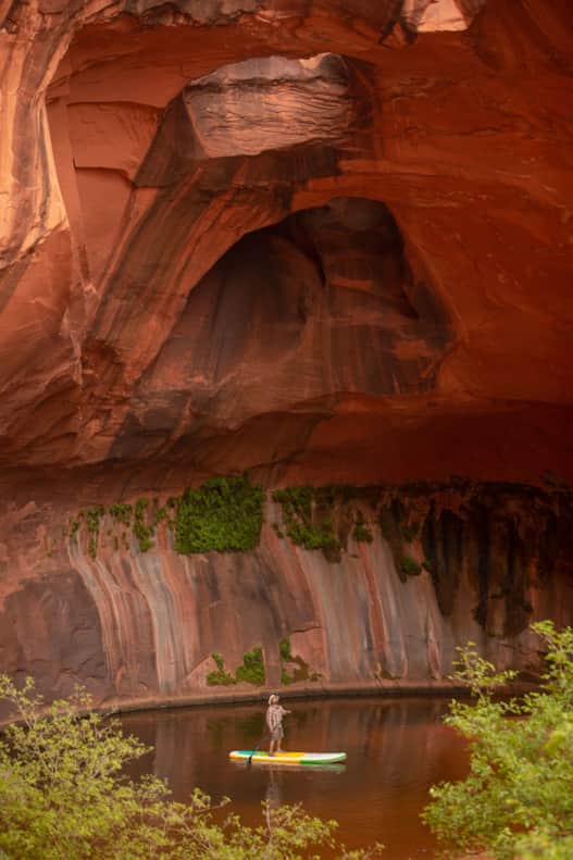 The red hues of the canyon deepened along with occasional black streaks, making the rock look like it had been etched by the claws of a cougar.
