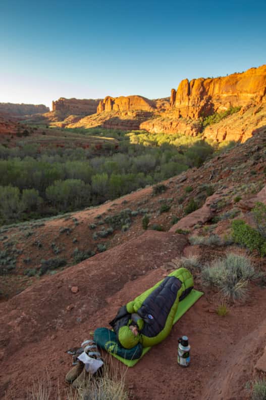 The canyon at night was alive with sights and sounds: the fluttering of a moth or a rustling in the bushes.