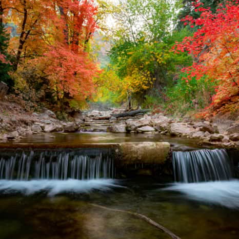 Fishlake National Forest boasts a kaleidoscope of colors in the fall.