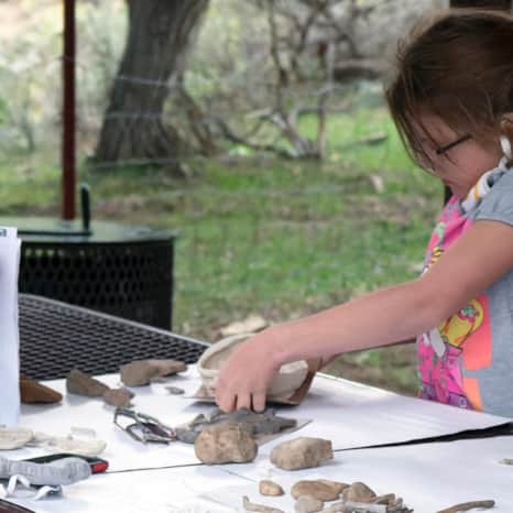SPX Fest allows attendees to get hands on with the fossil finds, a big hit with kids.