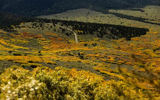 The Tushar Mountain Scenic Byway will give you an untouched view of the West.