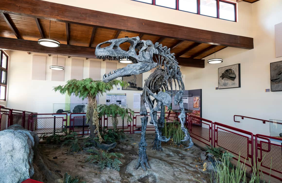 USU Eastern Prehistoric Museum is an active, working museum, interested in ongoing discovery as much as preservation and education.
