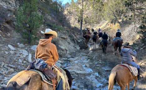 The summer cattle drive takes cattle to the high elevations near Bryce Canyon National Park.