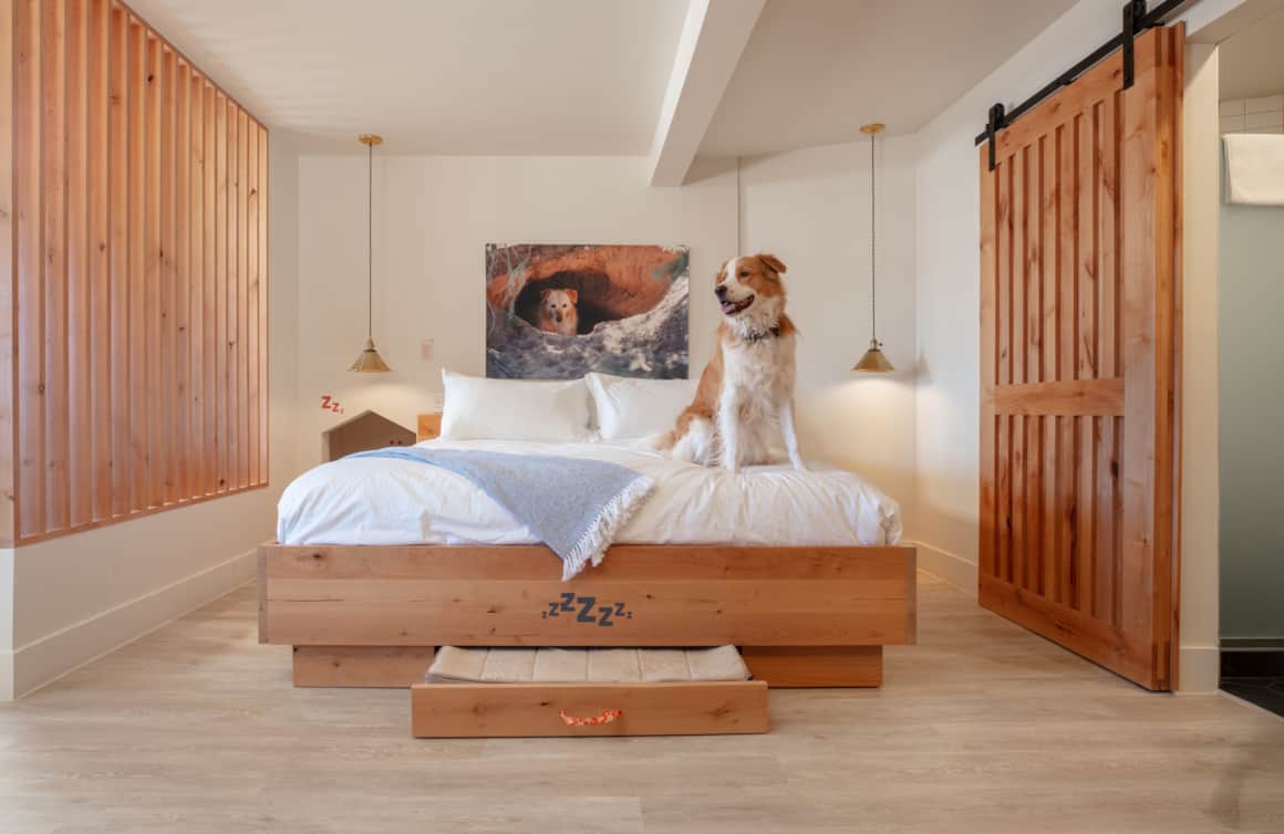 At the Roadhouse, you can host a sleepover with a pet from Best Friends Animal Sanctuary.