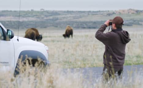 When animals are present, it’s important to never feed, touch, approach or cause them stress in any way.