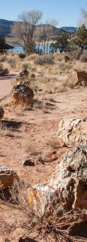Escalante Petrified Forest State Park