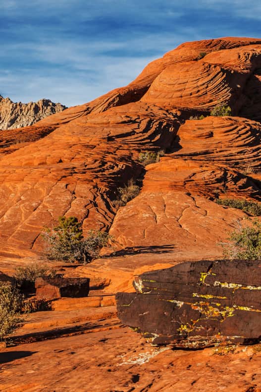 Petrified Dunes Trail traverses sagebrush flats to reach a spectacular field where sand dunes were deposited over 180 million years ago during the Jurassic Period.