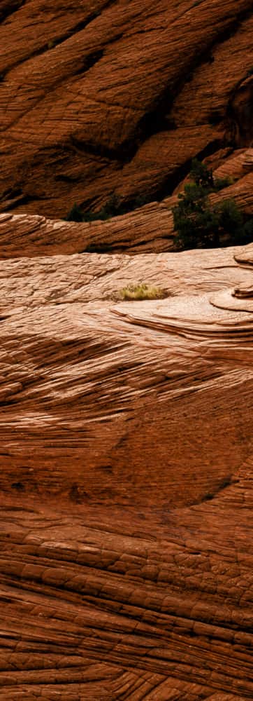 Snow Canyon State Park