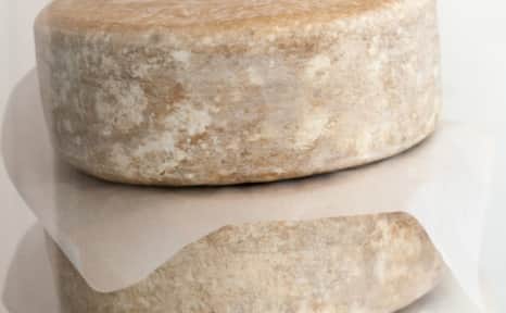 Caputo's is also home to state-of-the-art cheese caves, where they age a variety of artisanal cheeses.