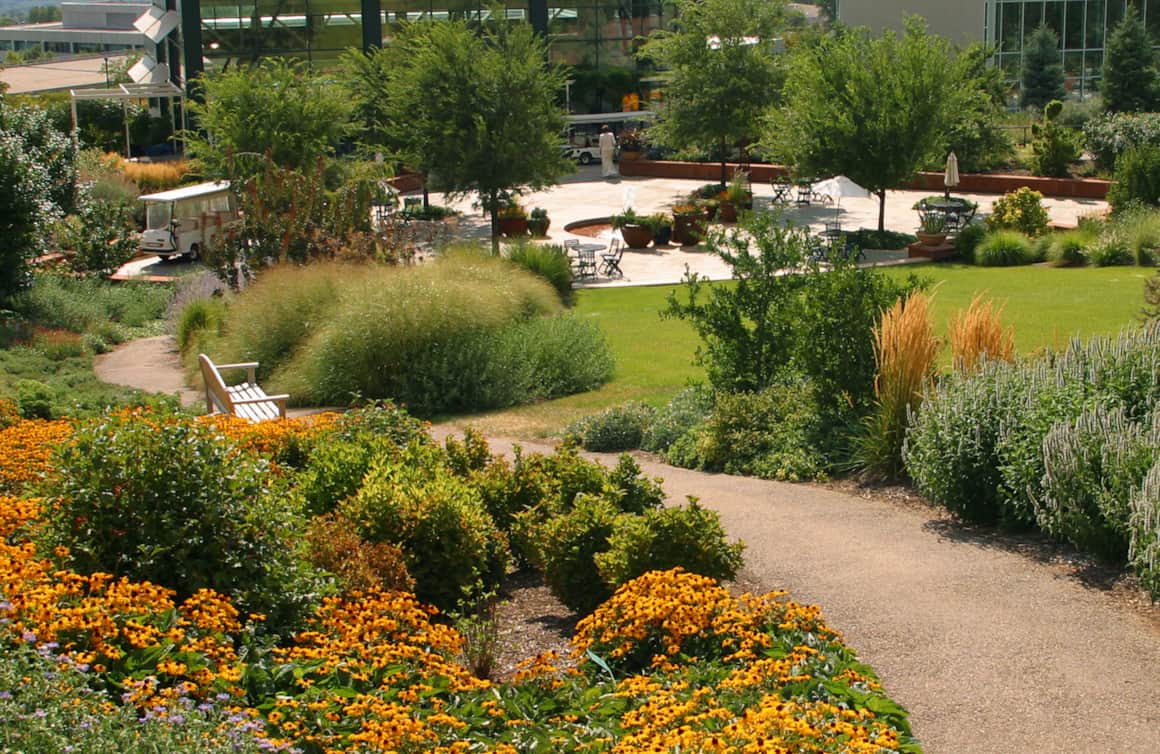 Red Butte Garden stands as the largest botanical garden in the Intermountain West – 100 acres total with 22 acres of display gardens.