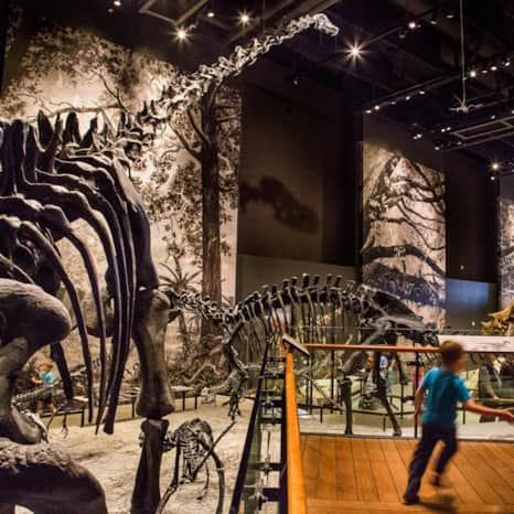 Set against the Salt Lake City's foothills, the Natural History Museum of Utah contains exhibitions exploring over 150 years of Utah's ancient past.