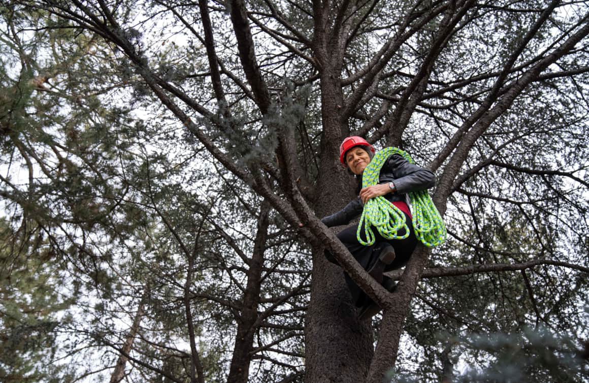 Dr. Nadkarni has been climbing trees since she was a small child in Maryland.