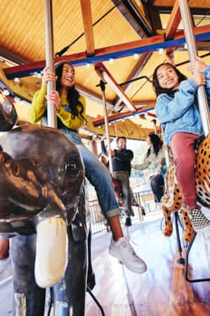 Two children riding horses on a carousel at the Hoogle Zoo.