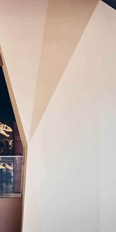 The architectural design of the Natural History Museum of Utah is a marvel in and of itself.