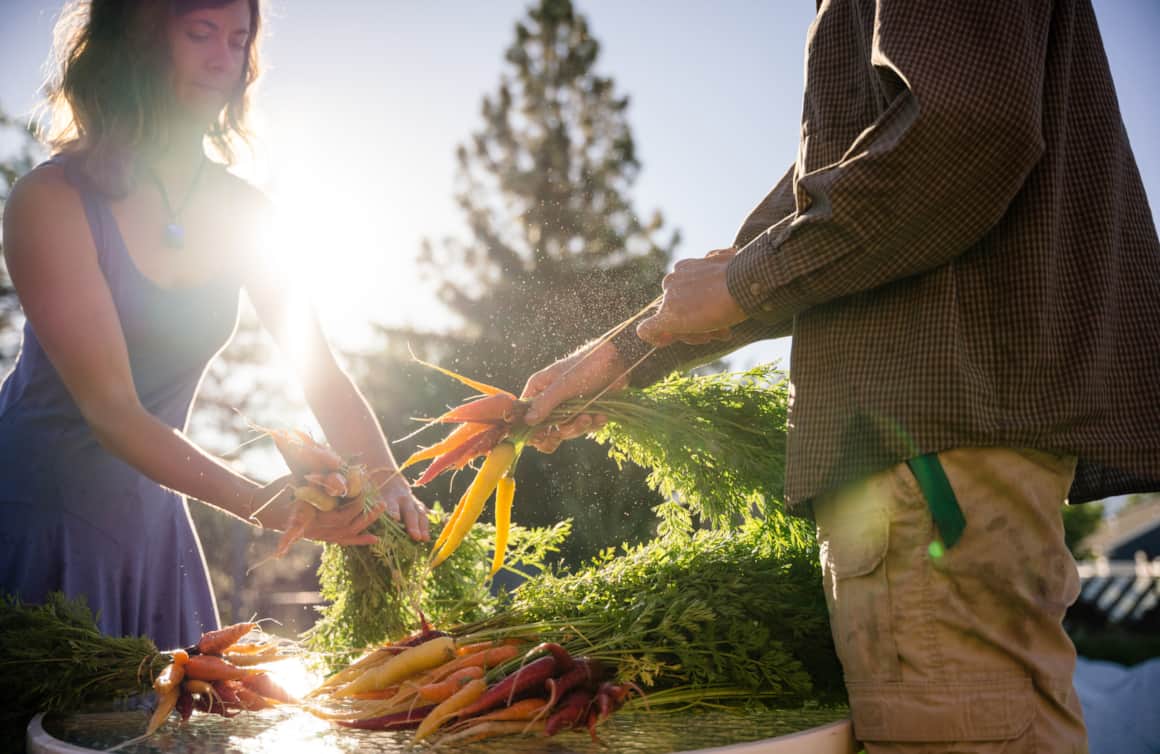 Some of the best restaurants in Salt Lake City create delicious dishes featuring Keep It Real Vegetables’ produce.