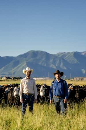 Two cowboys standing in an open grassy field with cows behind them and mountains in the distance.