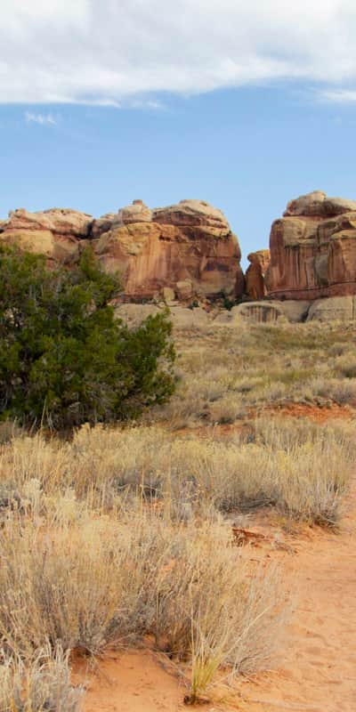 Hiking through the Needles District in Canyonlands National Park.