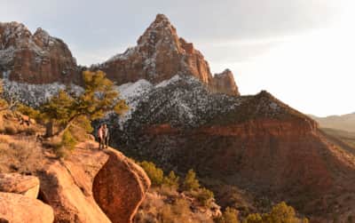 Views from the Watchman Trail in Zion.