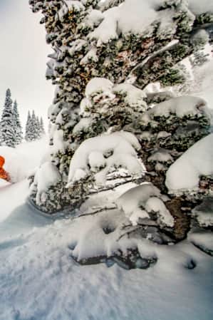 A snowboarder coming down the mountain on his edge, kicking up a lot of snow.