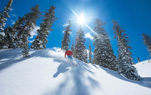 Snowbird snowcat skiing includes a half-day of guided backcountry adventuring.