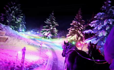 In Jordanelle State Park, just outside of Park City, Rocky Mountain Outfitters guides sleigh riders through a light show in the woods.