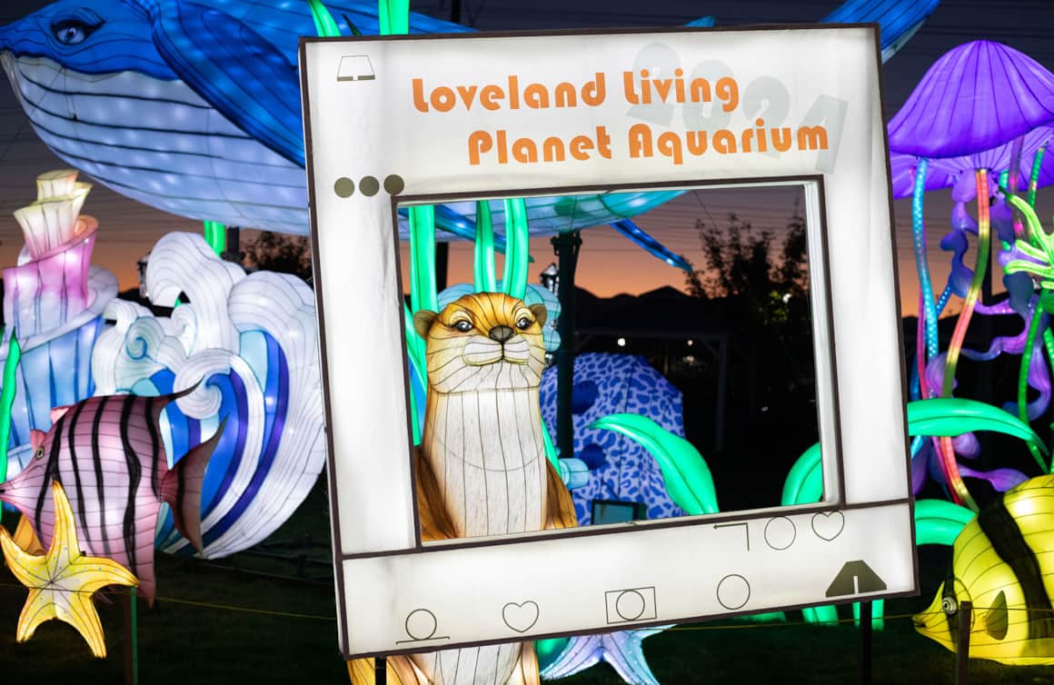New for 2024, the Loveland Living Planet Aquarium is hosting an outdoor Lantern Festival where nature-inspired lanterns illuminate the night.