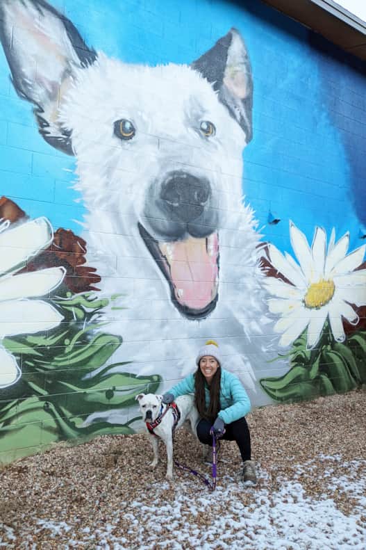 Best Friends Animal Society, America’s largest no-kill pet sanctuary, invites visitors to volunteer with its 1,600 animals.