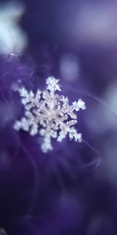 Snowflake on a purple wool hat captured with an iPhone macro lens called the Olloclip.
