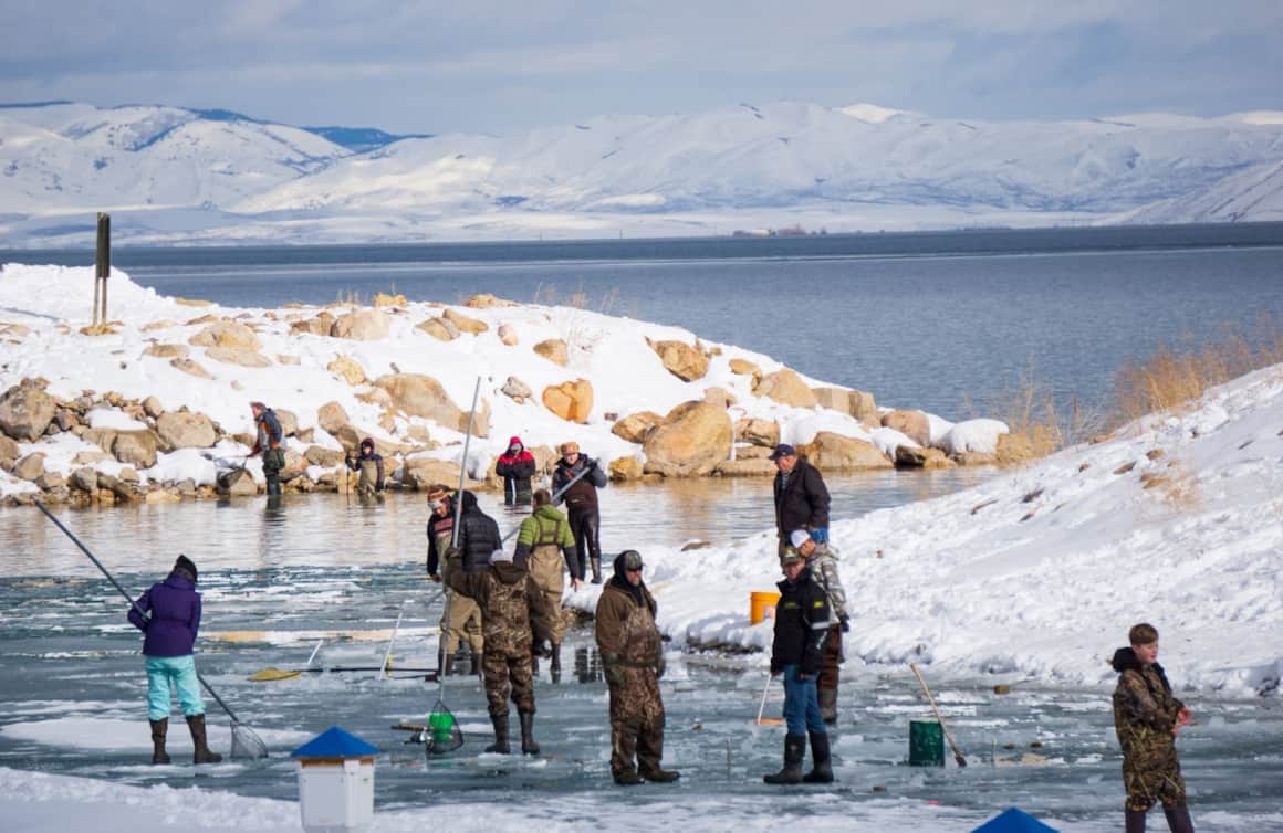 Dip your net at dawn for Cisco fish on the east side of Bear Lake, then enter your biggest little Cisco in the tournament. There are adult and kid contest categories with great prizes — and no cost to enter.
