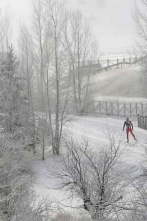 A ski run with snow-covered trees on each side and a person cross-country skiing on the trail.